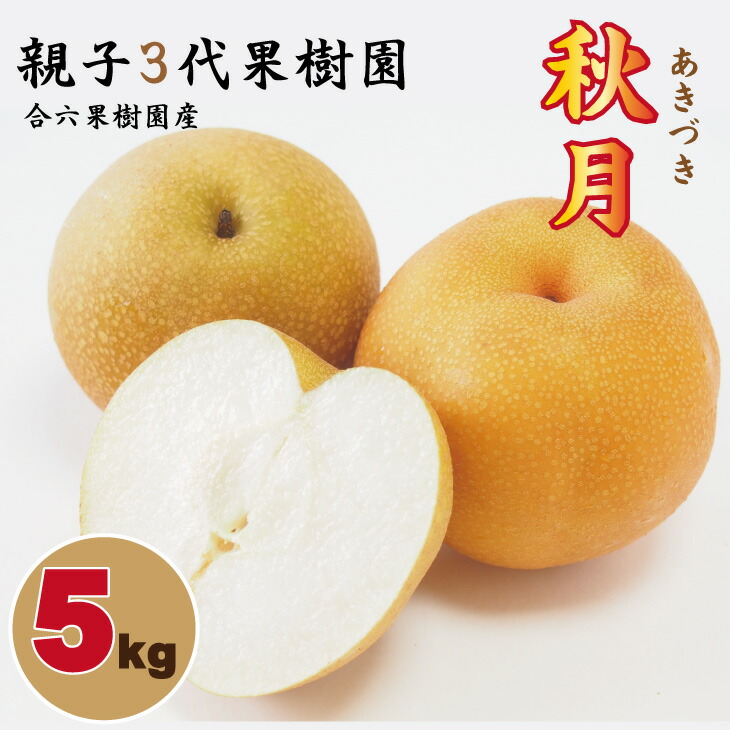 【ふるさと納税】【先行予約開始】 あきづき「秋月」 梨 （５kg）親子三世代 農家 合六果樹園 送料無料 農家直送 フルーツ 秋 ジューシー 果実 果物 ほうすい 人気 ランキング 【B140-017】