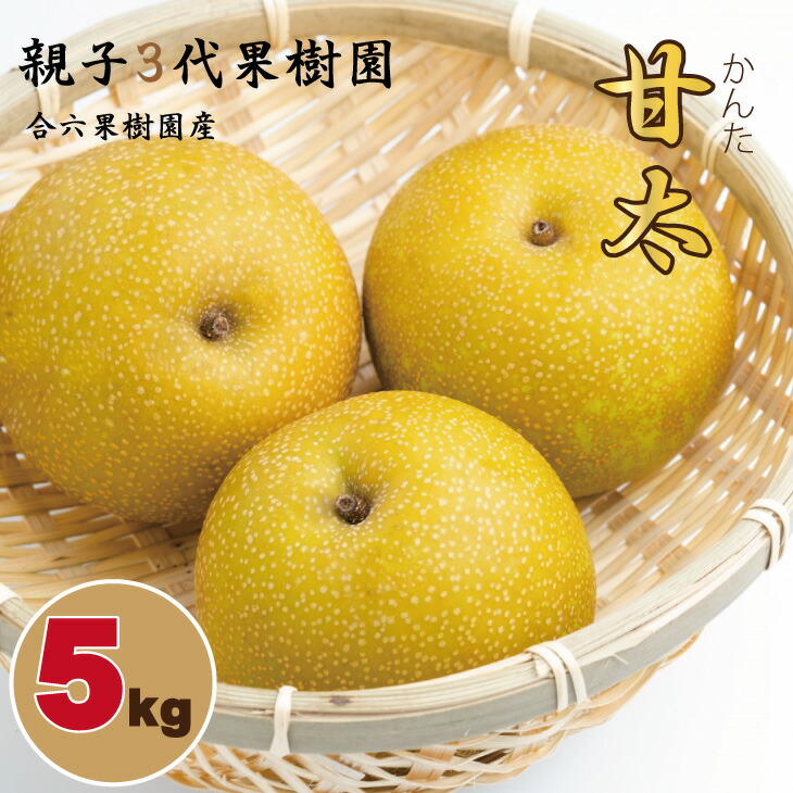 【ふるさと納税】【先行予約開始】 甘太「かんた」 梨（５kg） 親子三世代 農家 合六果樹園 送料無料 農家直送 フルーツ 秋 ジューシー 果実 果物 ほうすい 人気 ランキング 【B140-019】