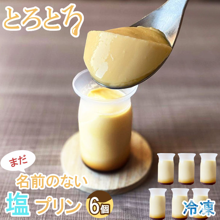 【ふるさと納税】 まだ名前のない塩プリン（6個入り） とろけるプリン プリン 塩プリン 冷凍プリン スイーツ 洋菓子 お菓子 おやつ カラメル ぷりん カスタード 冷凍 デザート 生クリーム 冷凍品 送料無料 【B110-029】