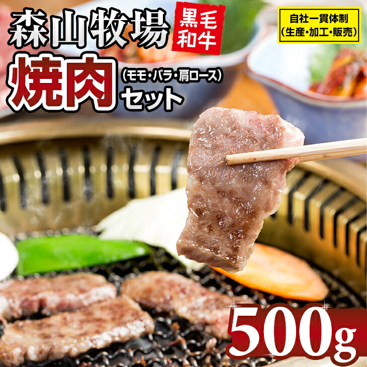 【ふるさと納税】 豪快精肉店!森山牧場 焼肉セット(500g) 佐賀和牛 牛肉 黒毛和牛 お肉 ジューシー 国産 霜降り 九州産 送料無料 ブランド牛 焼肉 人気 ランキング 高評価 牛肉 【B130-064】|佐賀県小城市