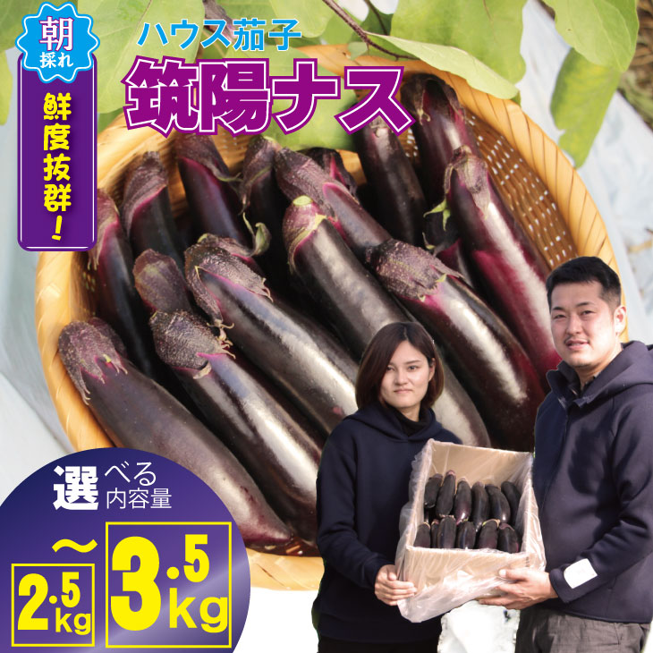 【ふるさと納税】【選べる内容量】 小城市産 筑陽 ナス （2.5kg・3.5kg）朝採れ 新鮮 ハウス栽培 茄子 煮物 揚げ物 焼き なす 農家直送 新鮮 野菜  送料無料 【A060-004】