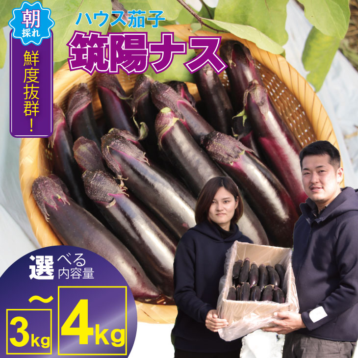 【ふるさと納税】【選べる内容量】 小城市産 筑陽 ナス （3kg・4kg） 朝採れ 新鮮 ハウス栽培 茄子 煮物 揚げ物 焼き マーボー なす 農家直送 新鮮 野菜 送料無料 松尾茄子園【A080-041】