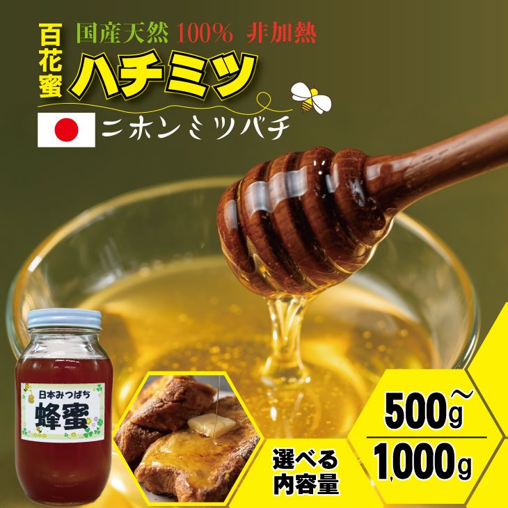 【ふるさと納税】【選べる内容量】 はちみつ （ 日本蜂蜜 ）蜂蜜 百花蜜 （500g・1,000g）西山養蜂 希少なハチミツ にほんみつばち 熟成された濃厚な味  送料無料  【B115-028】