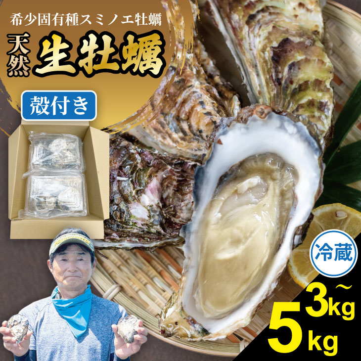 【ふるさと納税】【先行予約】 【選べる配送月・内容量】【天然】有明海産住之江牡蠣 3キロ～5キロ 3kg 5kg 殻付き 牡蠣 冷蔵牡蠣 スミノエ牡蠣 カキ 殻付き かき 冷蔵 貝 貝類 天然 送料無料 海鮮 海産 海産物 ハクエイ水産 【B160-024】 11,520円
