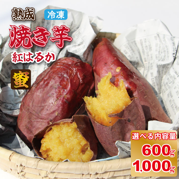 【ふるさと納税】 冷凍 焼き芋 紅はるか（600g）五時の芋 やきいも 甘い スイーツ ホクホク イモ 冷やしても美味しい 熟成 冷凍 送料無料 【A075-019】