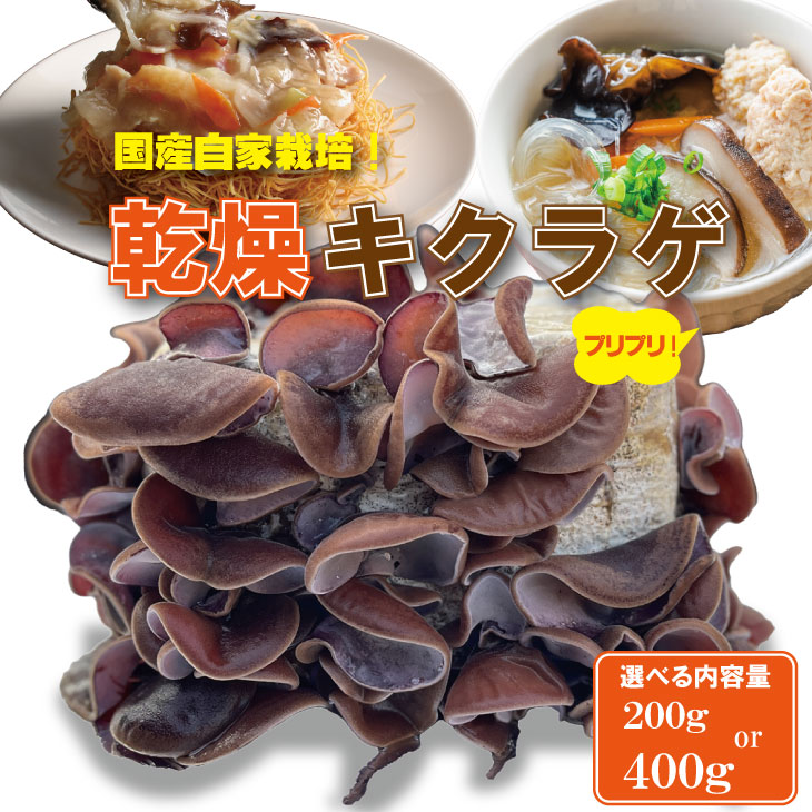 【ふるさと納税】 国産 自家製 乾燥 きくらげ 200g～400g 肉厚 プリプリ キクラゲ 選べる 中華料理 ラーメン スープ アクセント【A080-028】 6,080円