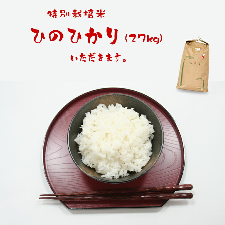 人気が高い 楽天市場 ふるさと納税 特別栽培米 ひのひかり 27kg 白米 送料無料 農薬半分以下 安心 安全なお米 佐賀県小城市 初回限定 Psht Or Id
