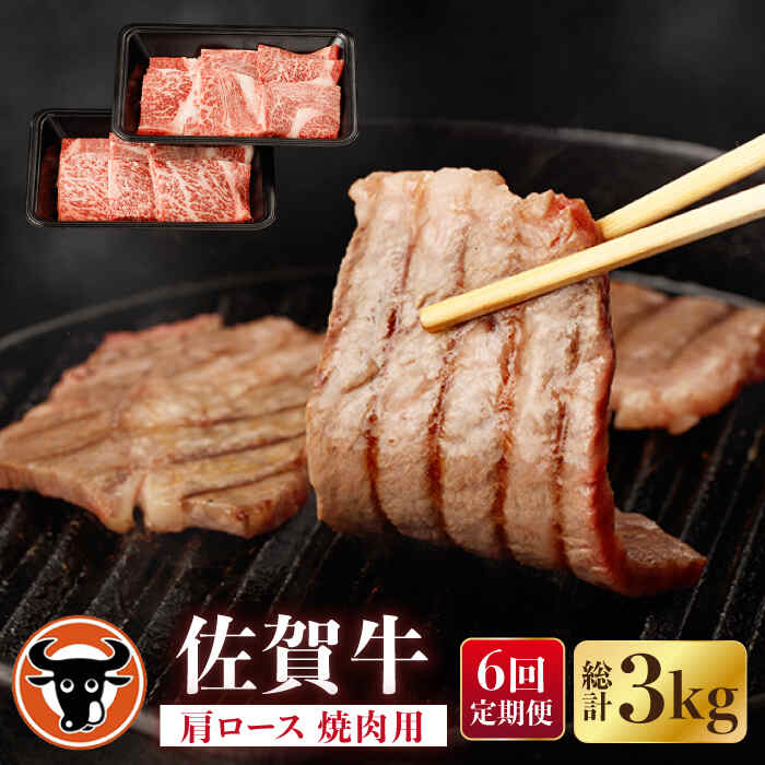 【ふるさと納税】【6回定期便】佐賀牛 肩ロース 焼肉用 計500g（250g&times;2p） 佐賀県産 黒毛和牛 牛肉 牛 佐賀県嬉野市/一ノ瀬畜産 [NAC153]｜佐賀県嬉野市
