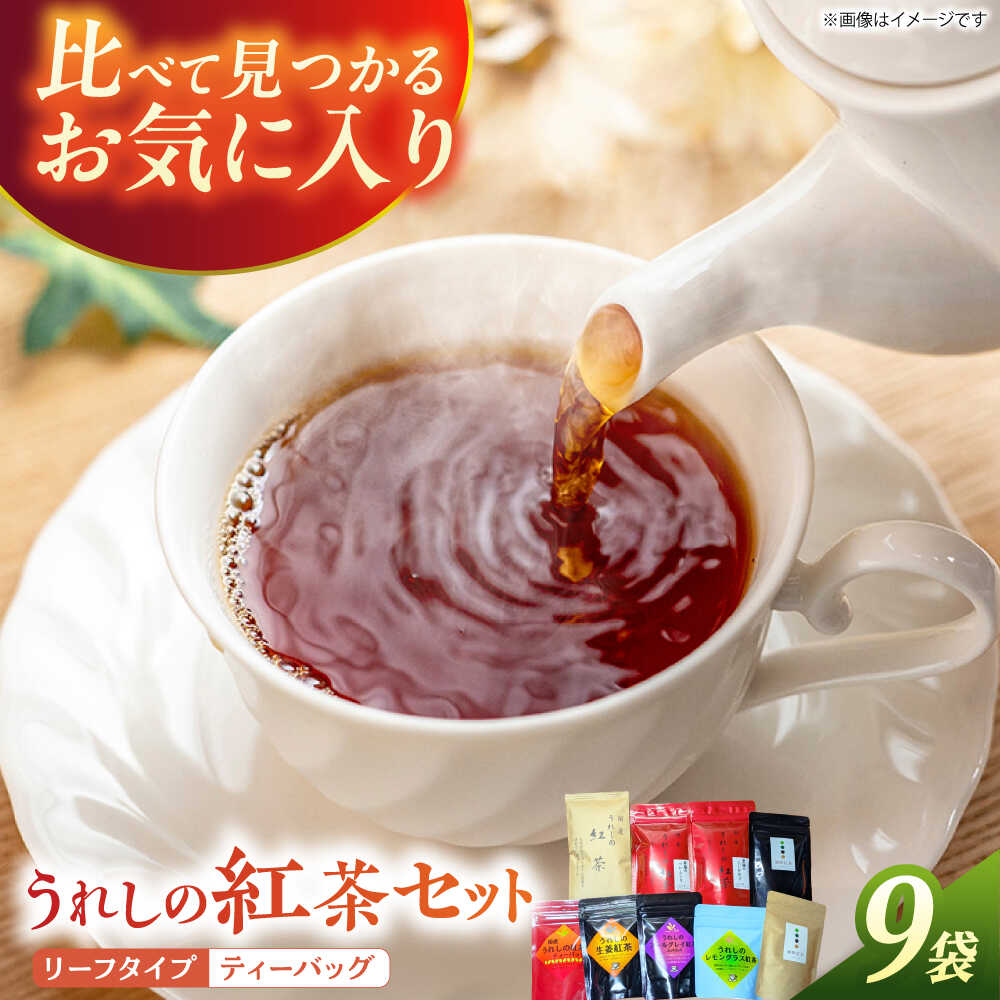 【ふるさと納税】うれしの紅茶 生産者USセット【うれしの紅茶振興協議会】[NAP007]
