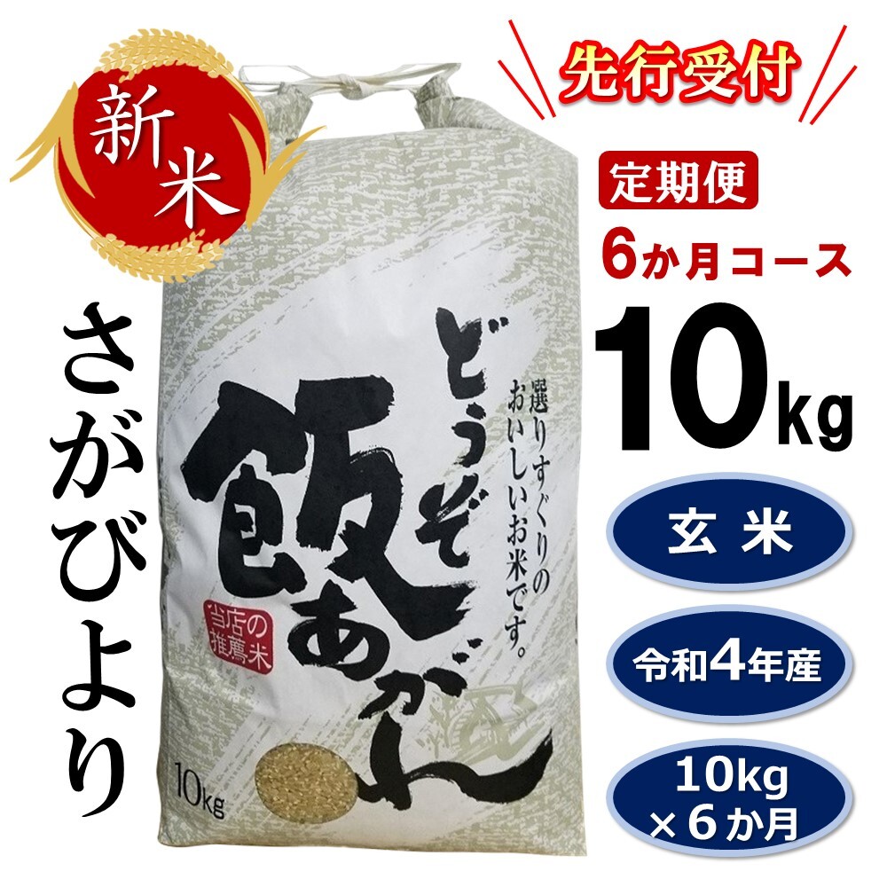 91%OFF!】 6か月定期便 さがびより 10kg 玄米 H061134 米・雑穀