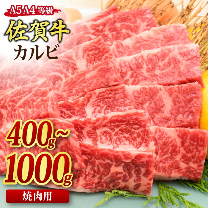 【ふるさと納税】【スピード発送】佐賀牛 カルビ 焼肉用 A5 A4 【希少 国産和牛 牛肉 肉 牛 焼肉 400g / 500g / 800g / 1,000g】H085P175