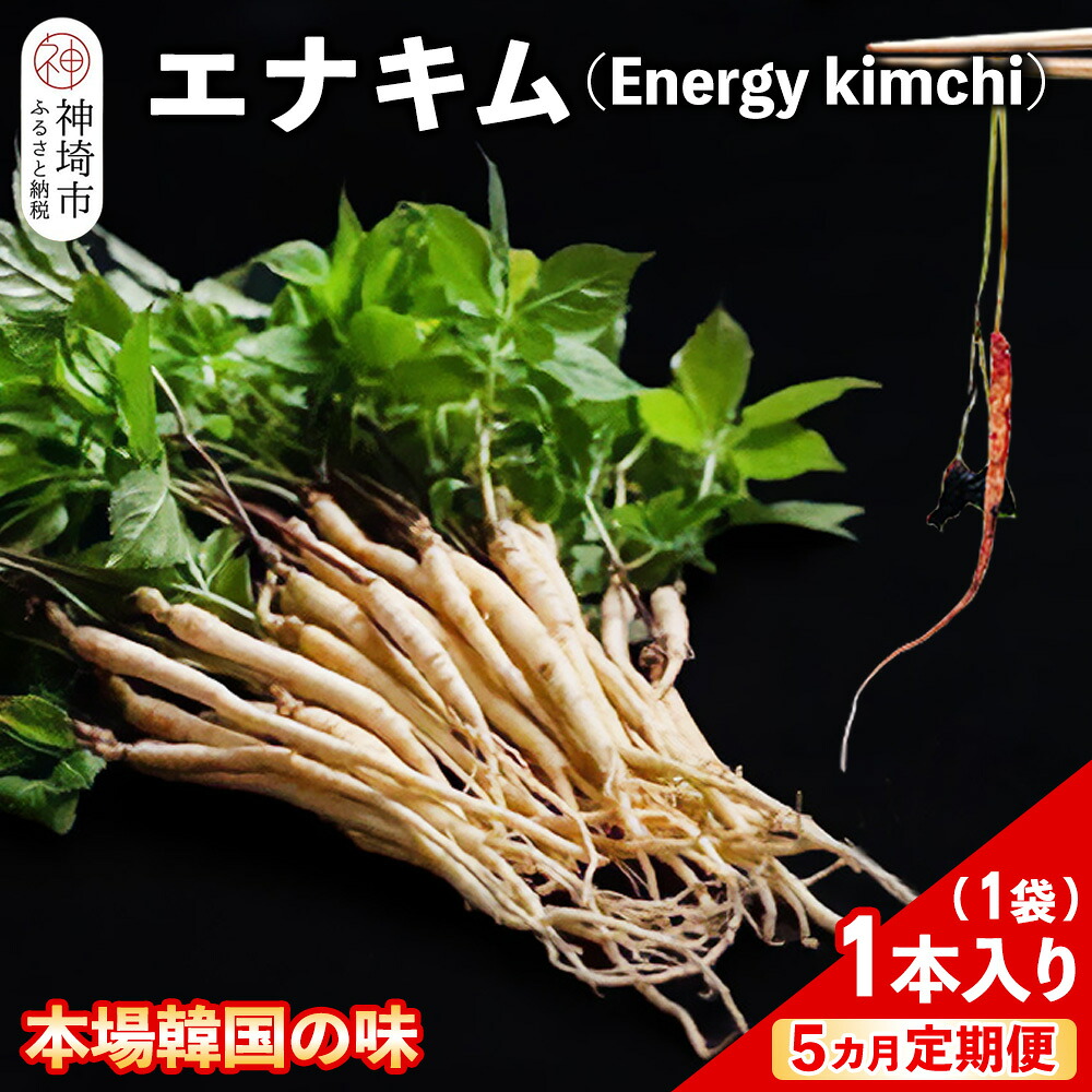 【ふるさと納税】【5カ月定期便】【一子相伝】秘伝のエナキム(高麗人参スプラウト・キムチ)1袋1本入り【本場の味 秘伝の味 韓国 ピリ辛 健康志向 滋養強壮】(H104144)