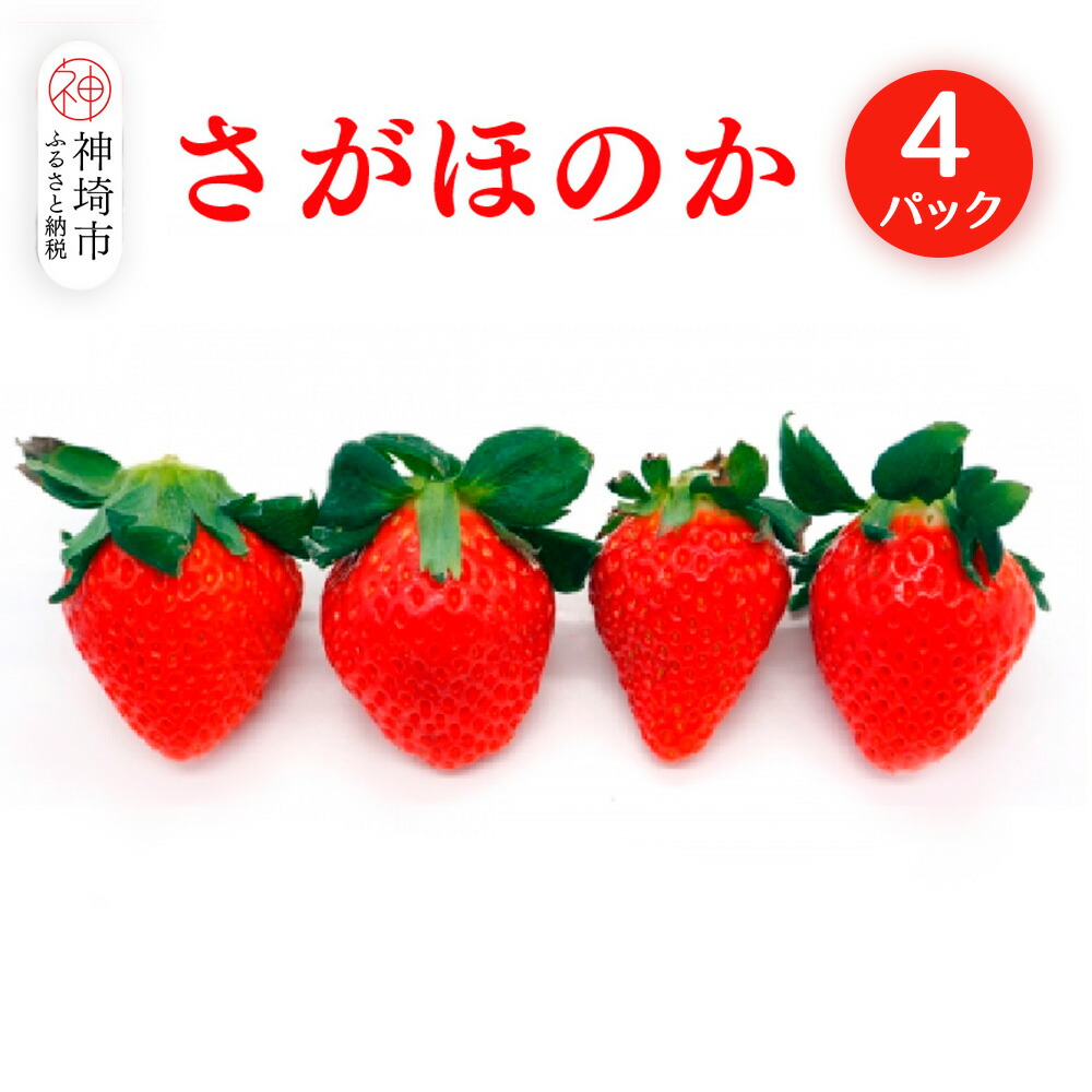 【ふるさと納税】【2026年1月上旬より発送開始】さがほのか4パック【果物 くだもの フルーツ いちご イチゴ 苺 佐賀】(H116134)