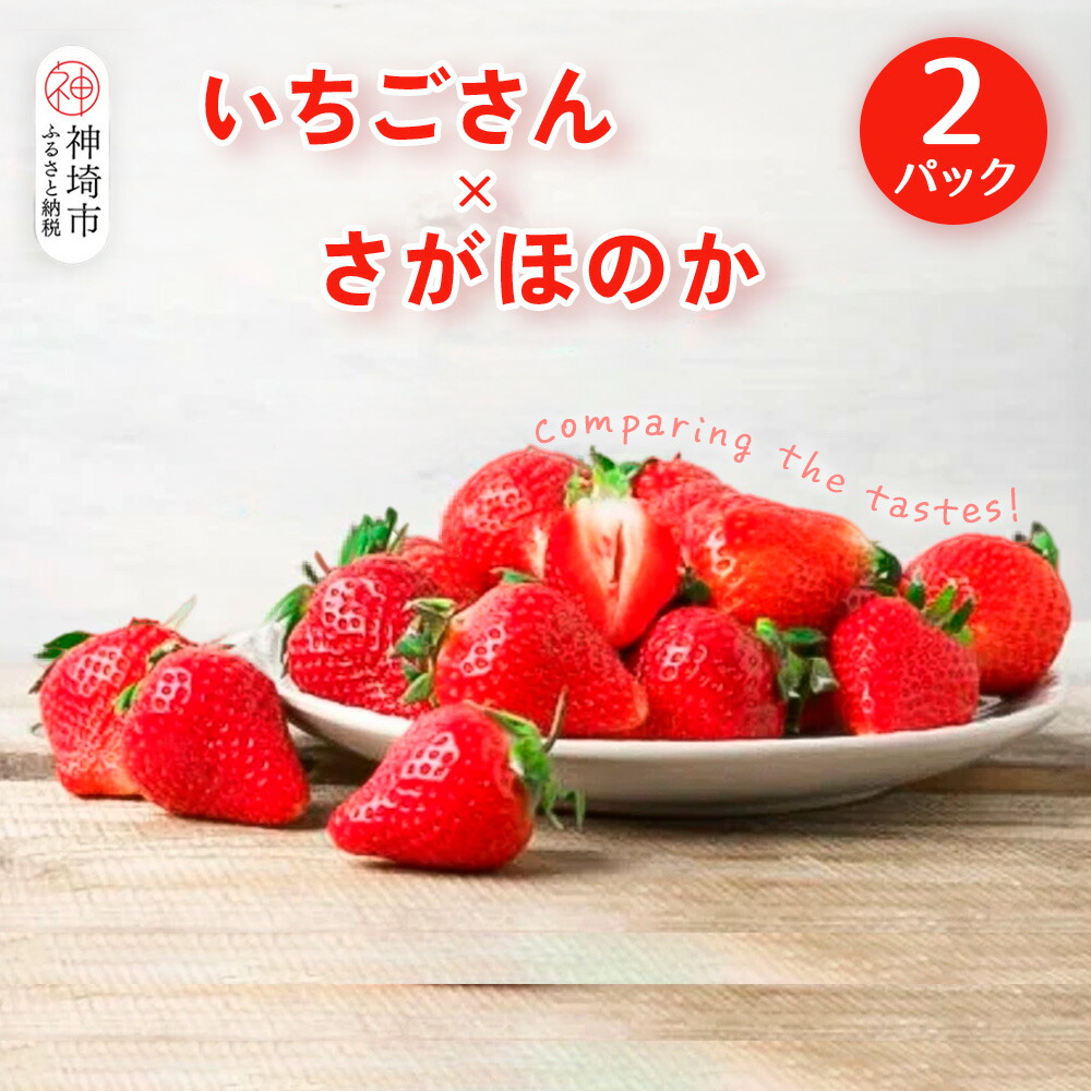 【ふるさと納税】【2026年1月上旬より発送開始】いちご食べ比べ 2パック(いちごさん・さがほのか)【果物 くだもの フルーツ イチゴ 苺 佐賀】(H116135)