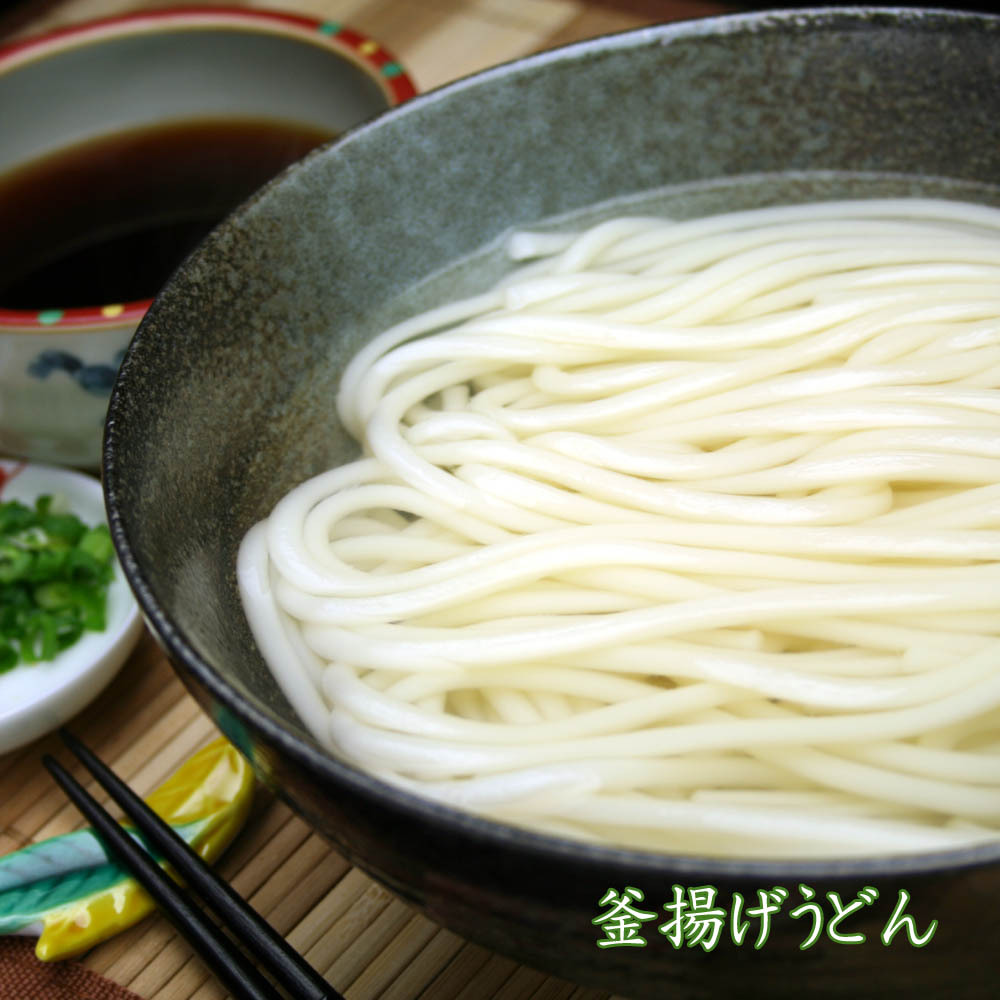 国内発送】 あったか麺セット 生うどん10袋 生ラーメン10袋 40人前 H014120 fucoa.cl