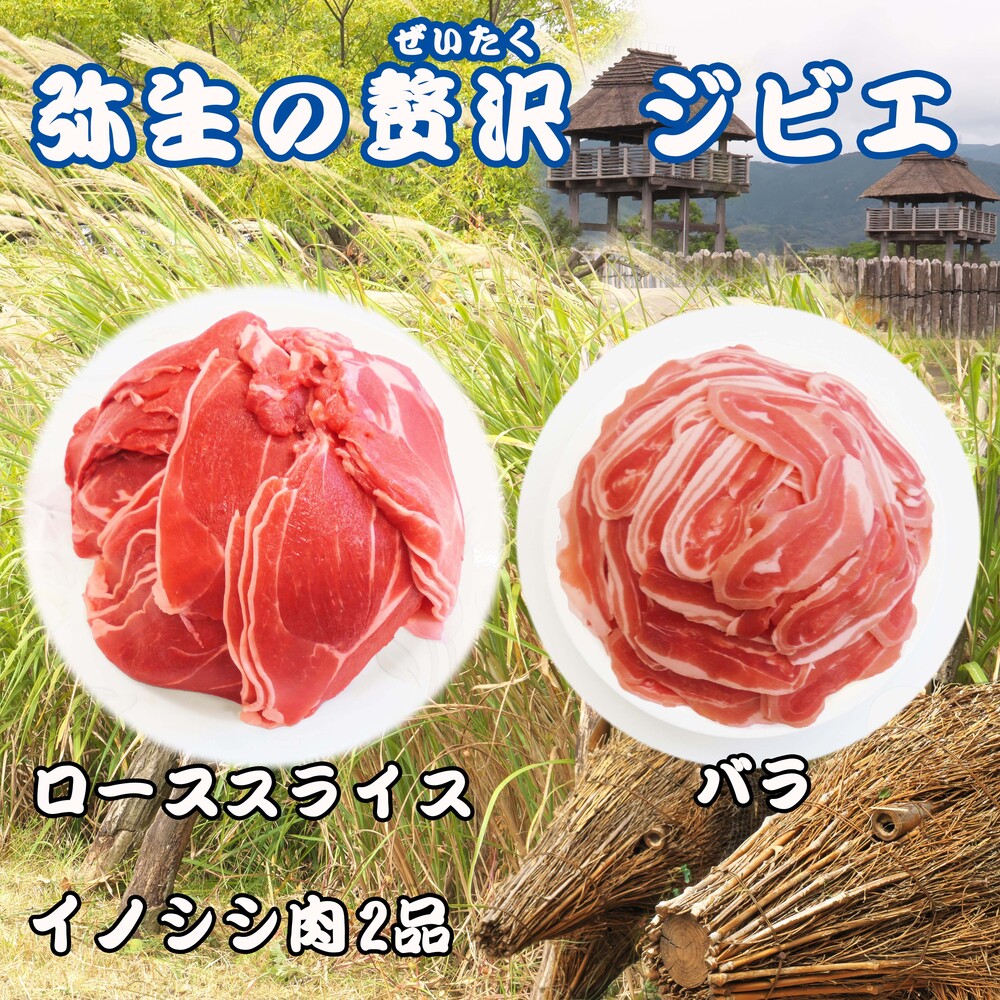 市場 ふるさと納税 イノシシ肉 脊振ジビエ ロース肉