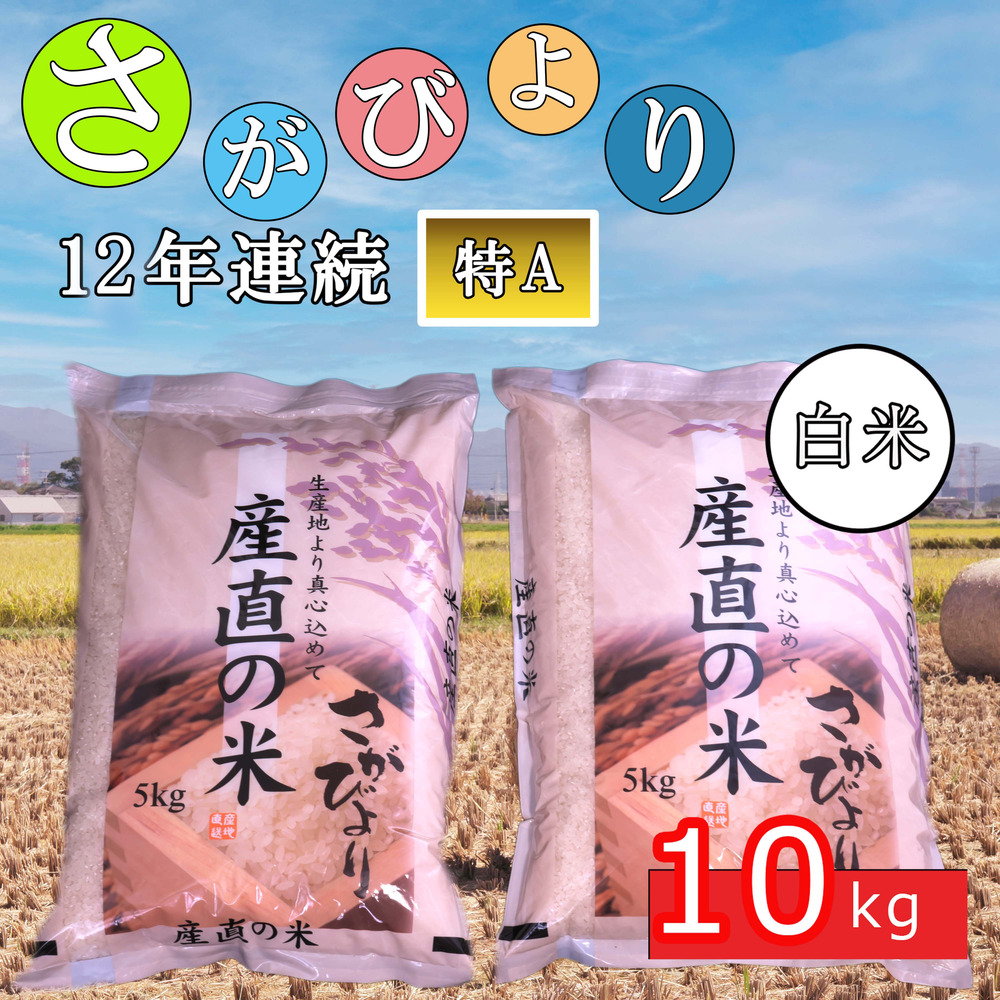 ふるさと納税 神埼市 12年連続最高評価特A受賞米 H015122 令和3年産さがびより5kg