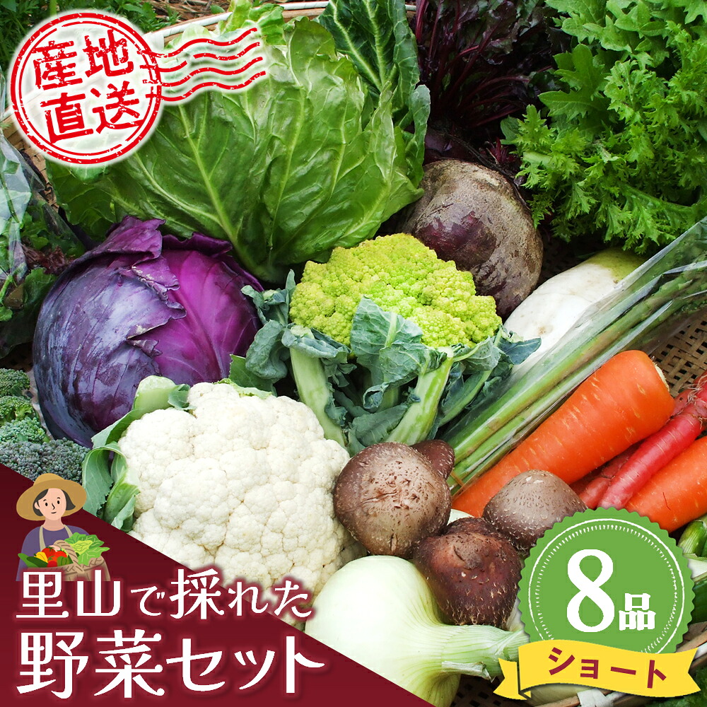 【ふるさと納税】里山で採れた野菜セットショート 8品 【有機野菜 おまかせ野菜セット イタリア野菜 西洋野菜】(H078101)