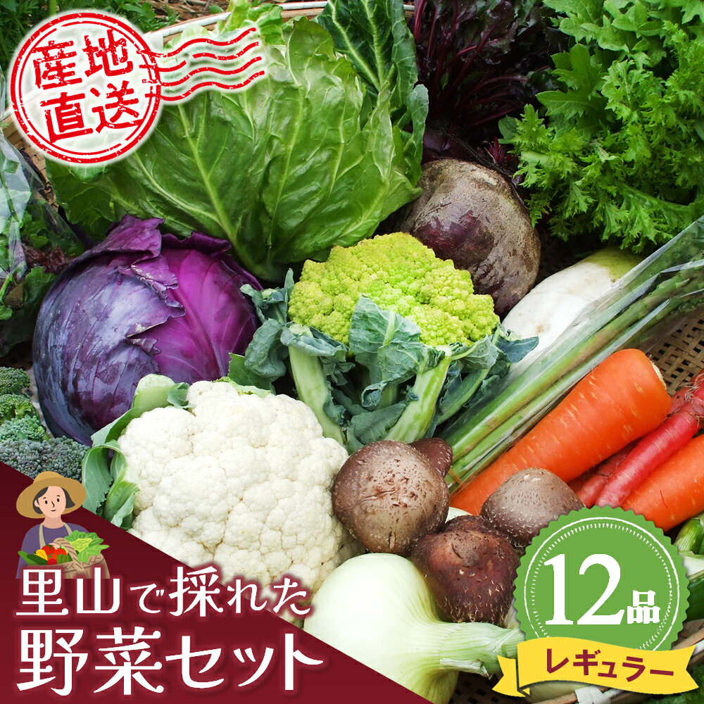 【ふるさと納税】里山で採れた野菜セットレギュラー 12品 【有機野菜 おまかせ野菜セット イタリア野菜 西洋野菜】(H078105)