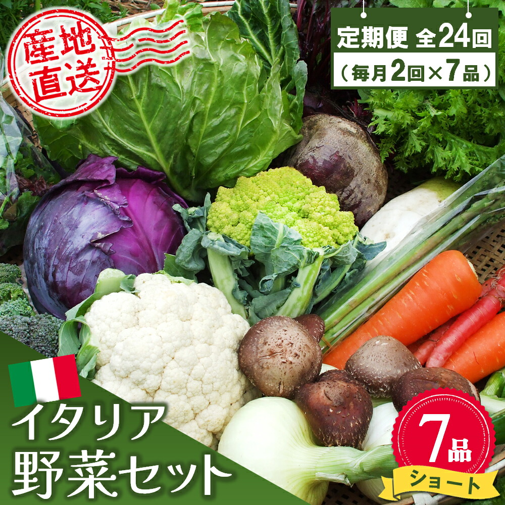 【ふるさと納税】年間定期便24回 イタリア野菜セットショート 7品 【有機野菜 おまかせ野菜セット イタリア野菜 西洋野菜 定期便】(H078147)
