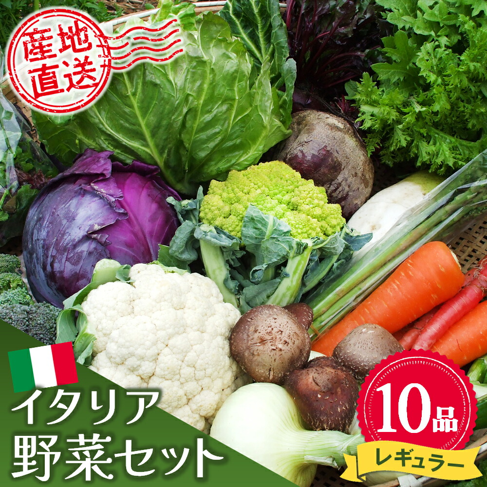 【ふるさと納税】イタリア野菜セットレギュラー 10品 【有機野菜 おまかせ野菜セット イタリア野菜 西洋野菜】(H078148)