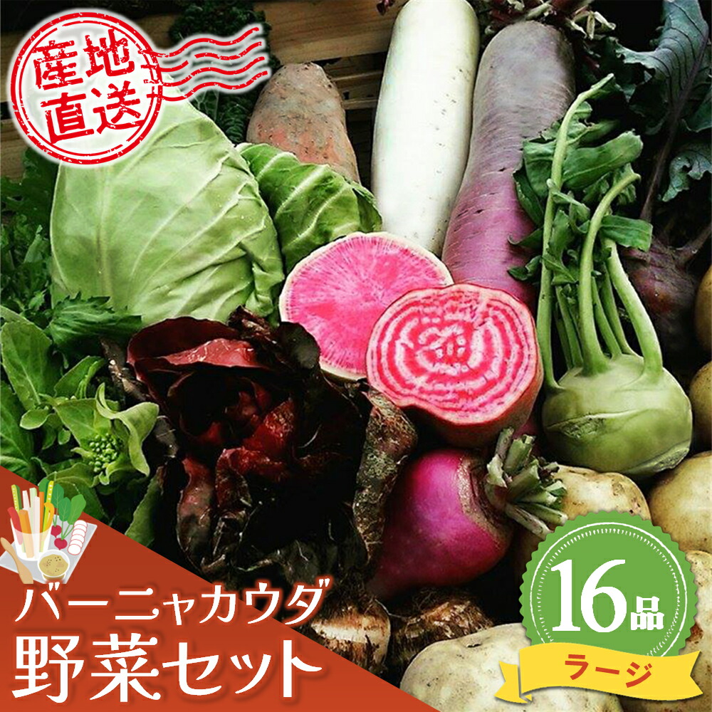 【ふるさと納税】バーニャカウダ野菜セットラージ 16品 【有機野菜 おまかせ野菜セット イタリア野菜 西洋野菜】(H078121)