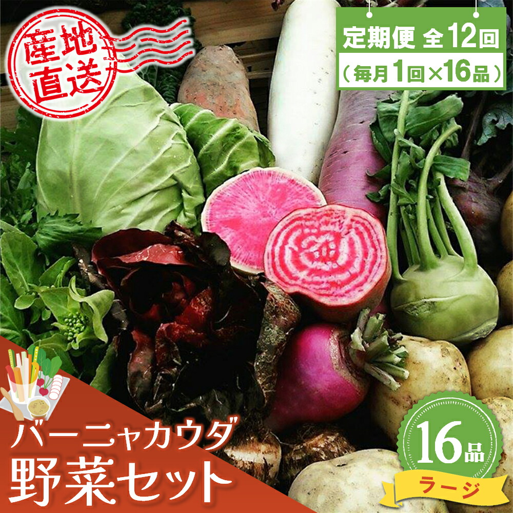 【ふるさと納税】年間定期便12回 バーニャカウダ野菜セットラージ 16品 【有機野菜 おまかせ野菜セット イタリア野菜 西洋野菜 定期便】(H078122)