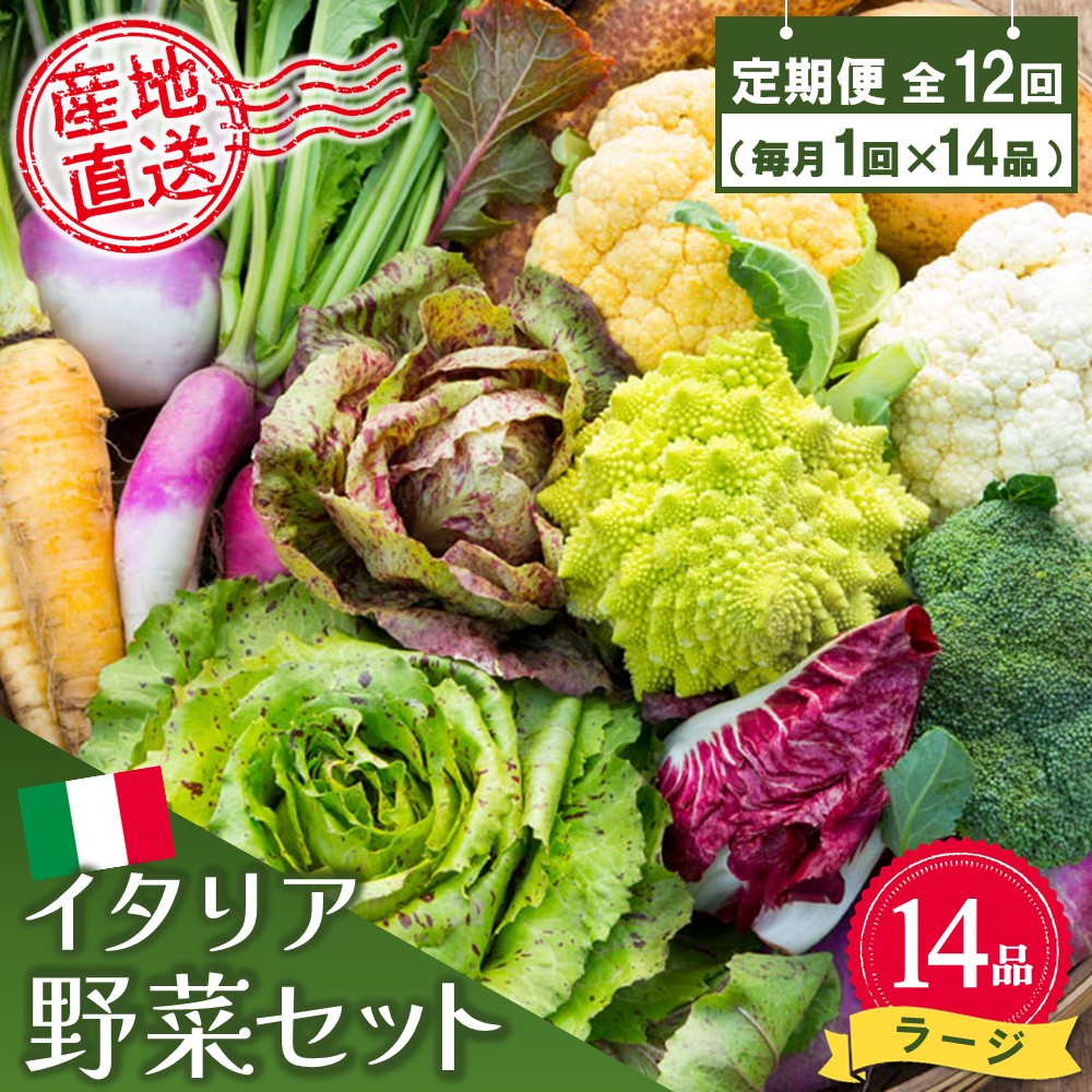 【ふるさと納税】年間定期便12回 イタリア野菜セットラージ 14品 【有機野菜 おまかせ野菜セット イタリア野菜 西洋野菜 定期便】(H078134)