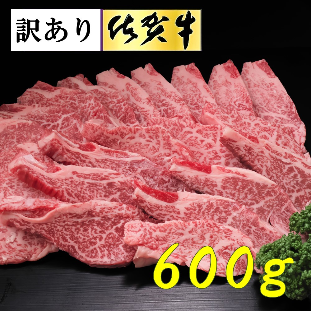 佐賀牛ヒレ焼き肉用600g H065139 大人気新品