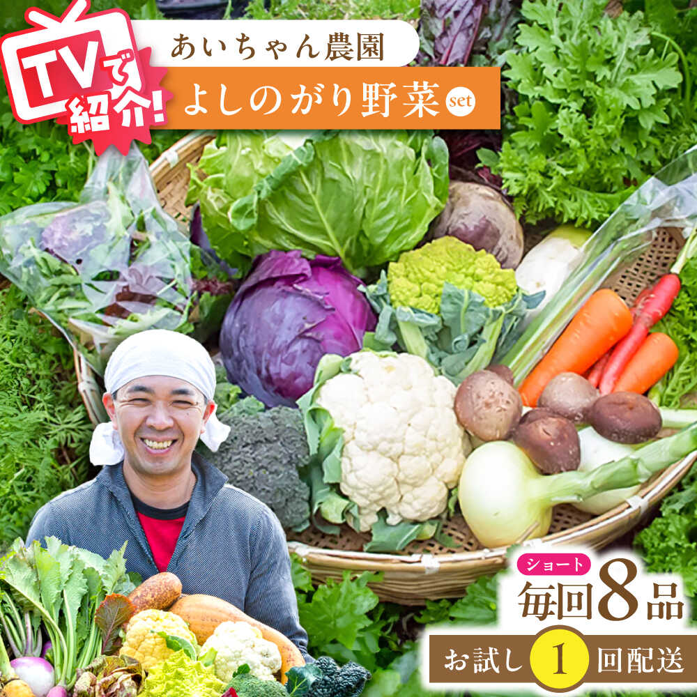 【ふるさと納税】【8品】農薬に頼らない！カラダにやさしい「よしのがり野菜」セット（ショート）【吉野ヶ里あいちゃん農園】 [FAA001]