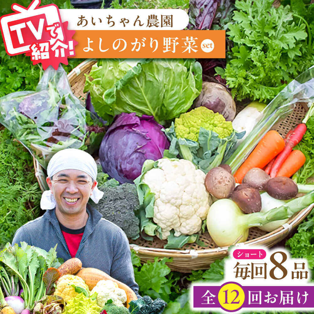 【ふるさと納税】【8品 / 12回定期便】農薬に頼らない！カラダにやさしい「よしのがり野菜」セット（ショート）【吉野ヶ里あいちゃん農園】 [FAA002]