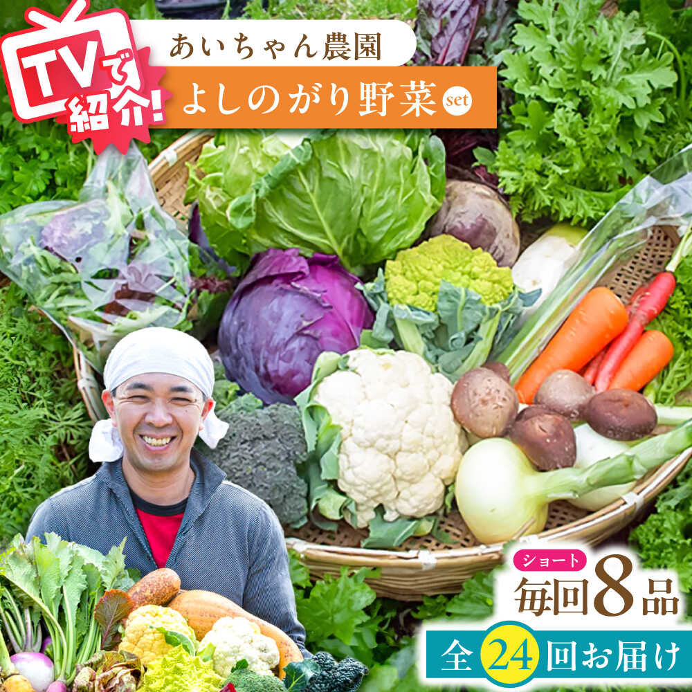 【ふるさと納税】【8品 / 24回定期便】農薬に頼らない！カラダにやさしい「よしのがり野菜」セット（ショート）【吉野ヶ里あいちゃん農園】 [FAA003]