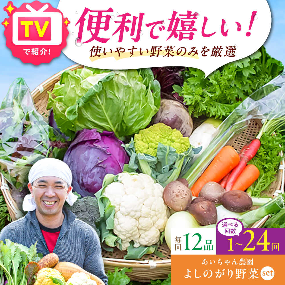 【ふるさと納税】【12品 選べる配送回数】「よしのがり野菜」セット（レギュラー）＜農薬に頼らない！カラダにやさしい野菜＞| 野菜 定期便 詰め合わせ 旬 |吉野ヶ里町/あいちゃん農園[FAA005/006/007]｜佐賀県吉野ヶ里町
