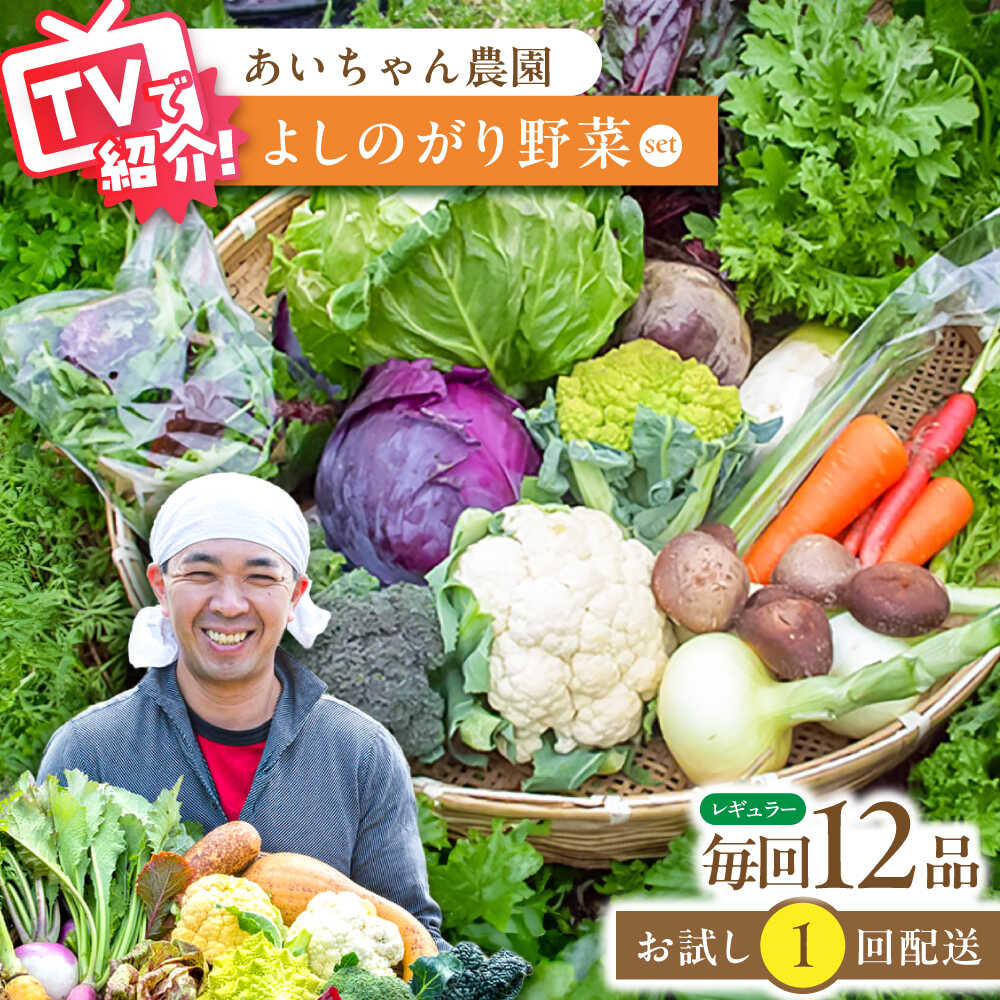 【ふるさと納税】【12品】農薬に頼らない！カラダにやさしい「よしのがり野菜」セット（レギュラー）吉野ヶ里町/吉野ヶ里あいちゃん農園 [FAA005]