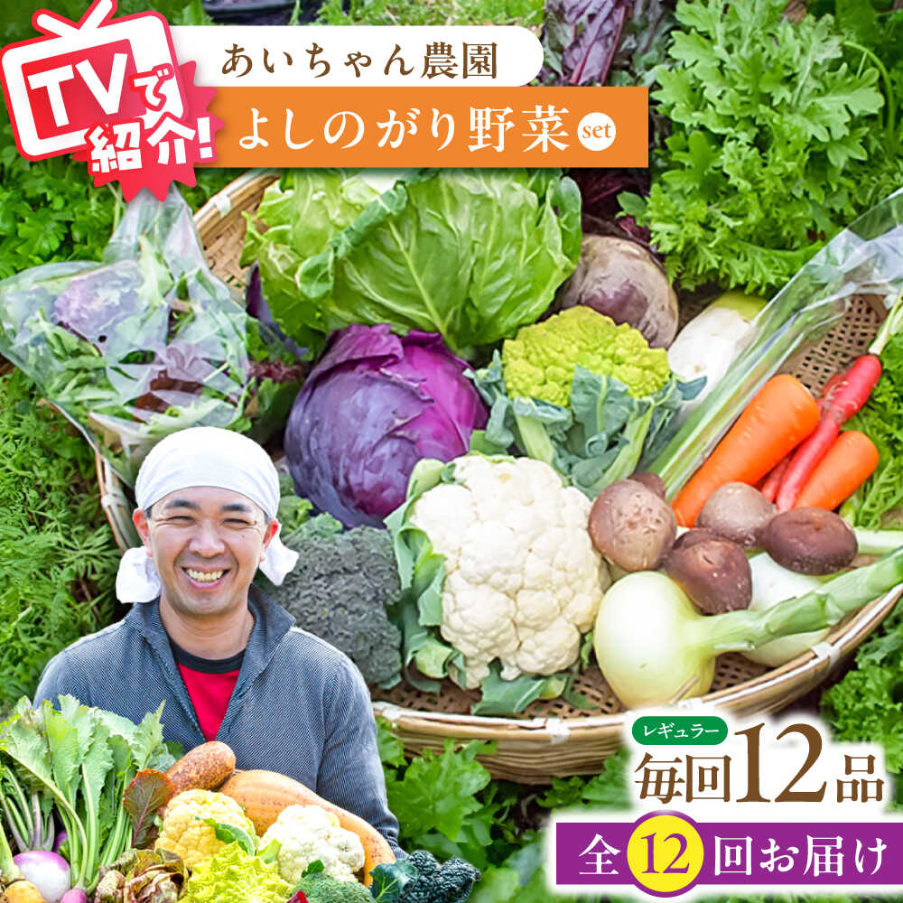 【ふるさと納税】【12品 / 12回定期便】農薬に頼らない！カラダにやさしい「よしのがり野菜」セット（レギュラー）【吉野ヶ里あいちゃん農園】 [FAA006]