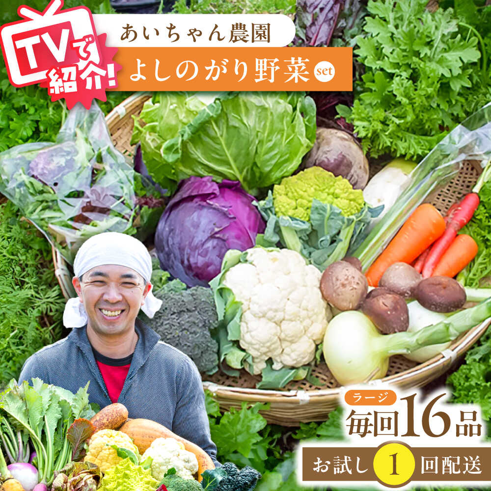 【ふるさと納税】【16品】農薬に頼らない！カラダにやさしい「よしのがり野菜」セット（ラージ）吉野ヶ里町/吉野ヶ里あいちゃん農園[FAA009]
