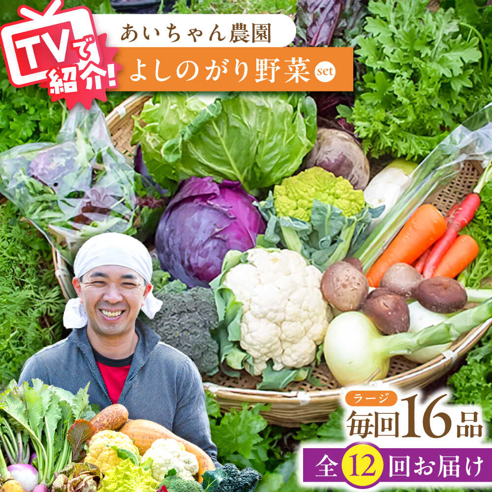 【ふるさと納税】【16品 / 12回定期便】農薬に頼らない！カラダにやさしい「よしのがり野菜」セット（ラージ）【吉野ヶ里あいちゃん農園】 [FAA010]
