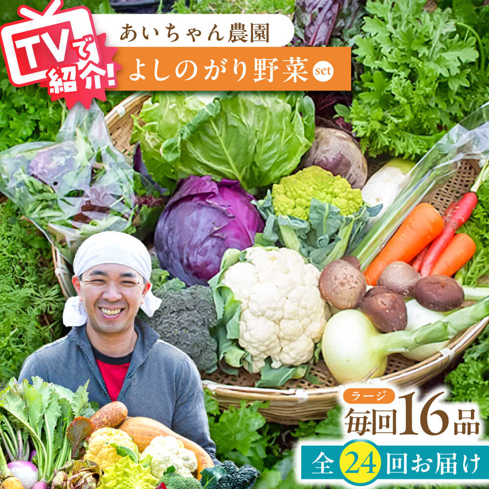 【ふるさと納税】【16品 / 24回定期便】農薬に頼らない！カラダにやさしい「よしのがり野菜」セット（ラージ）【吉野ヶ里あいちゃん農園】 [FAA011]