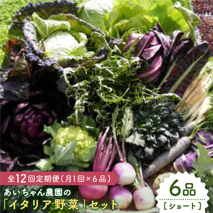 【ふるさと納税】【6品 / 12回定期便】農薬に頼らない！カラダにやさしい「イタリア野菜」セット（ショート）【吉野ヶ里あいちゃん農園】[FAA014]