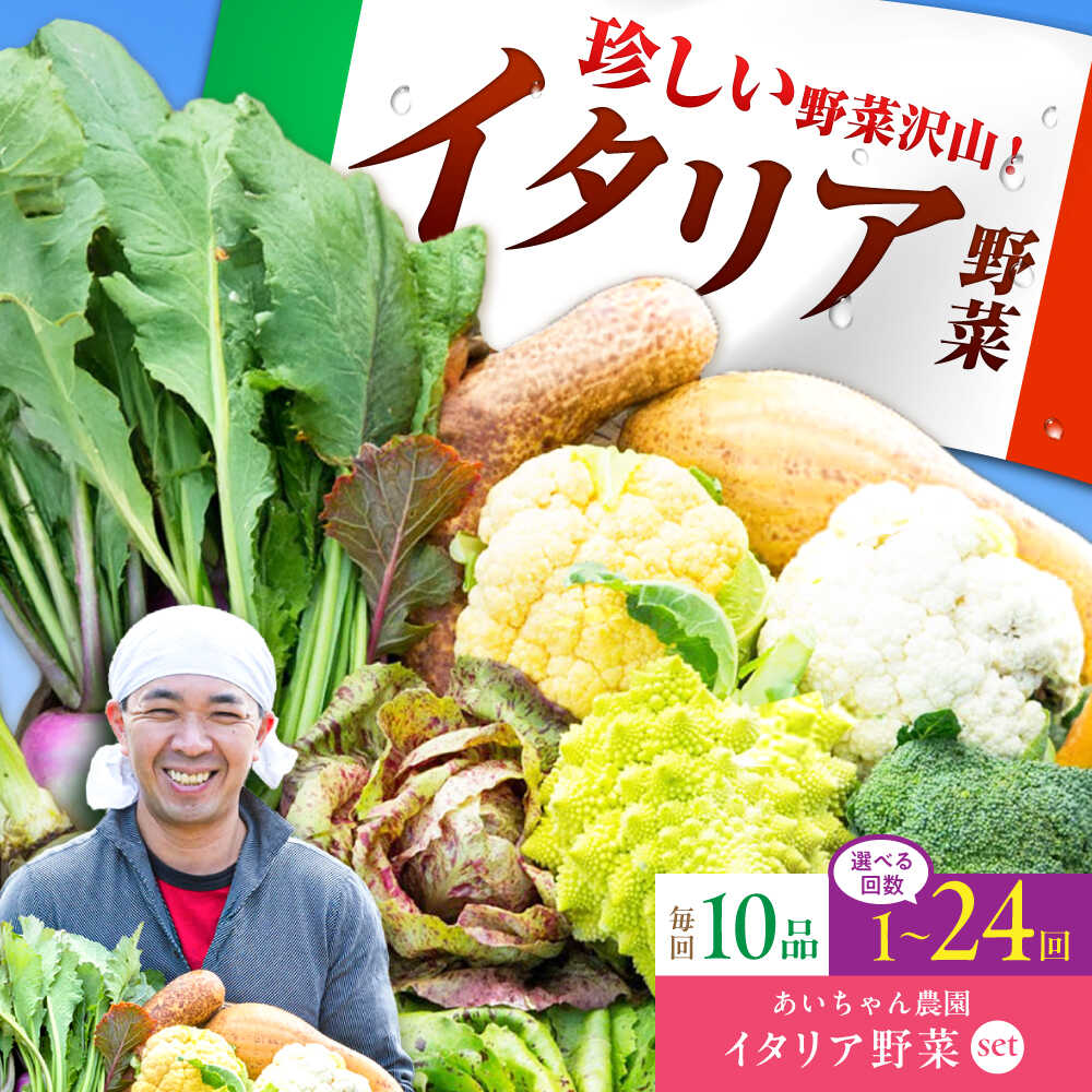 【ふるさと納税】【10品 選べる配送回数】「イタリア野菜」セット（レギュラー）＜農薬に頼らない！カラダにやさしい野菜＞吉野ヶ里町/吉野ヶ里あいちゃん農園[FAA017/FAA018/FAA019]｜佐賀県吉野ヶ里町 200,000円