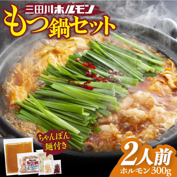 【ふるさと納税】行列店のできる人気店のもつを使った自慢のもつ鍋セット(２人分） 吉野ヶ里町/三田川ホルモン専門店[FAC002]