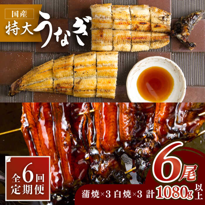 【ふるさと納税】ふっくらジューシーのこだわりうなぎ【6回定期便】国産うなぎ蒲焼・白焼 計6枚セット（うなぎ蒲焼3枚・白焼3枚）&times;6回 吉野ヶ里町/丸安 [FAD011]｜佐賀県吉野ヶ里町