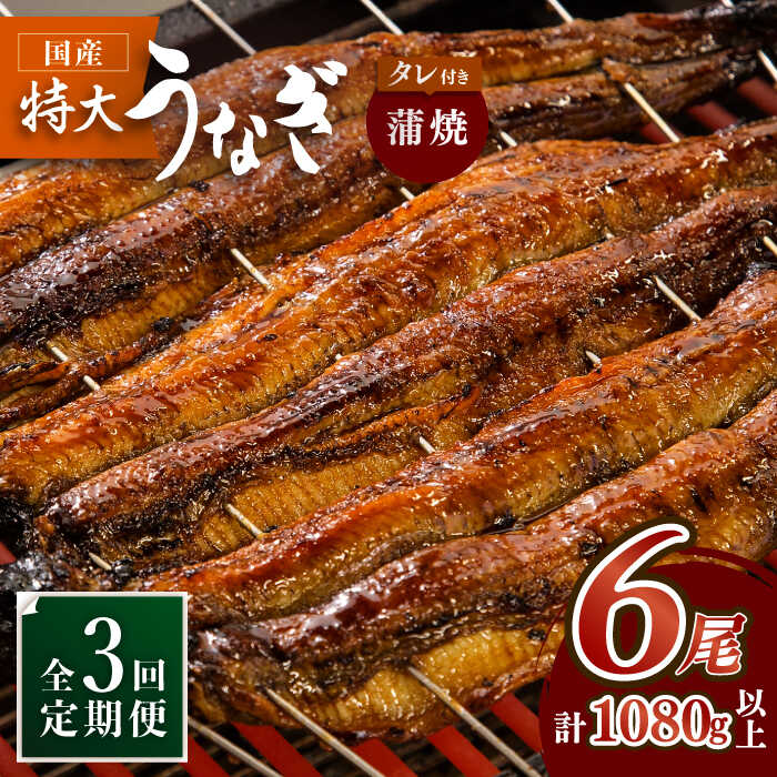 【ふるさと納税】ふっくらジューシーのこだわりうなぎ【3回定期便】国産うなぎ蒲焼 6枚セット&times;3回 吉野ヶ里町/丸安[FAD014]｜佐賀県吉野ヶ里町