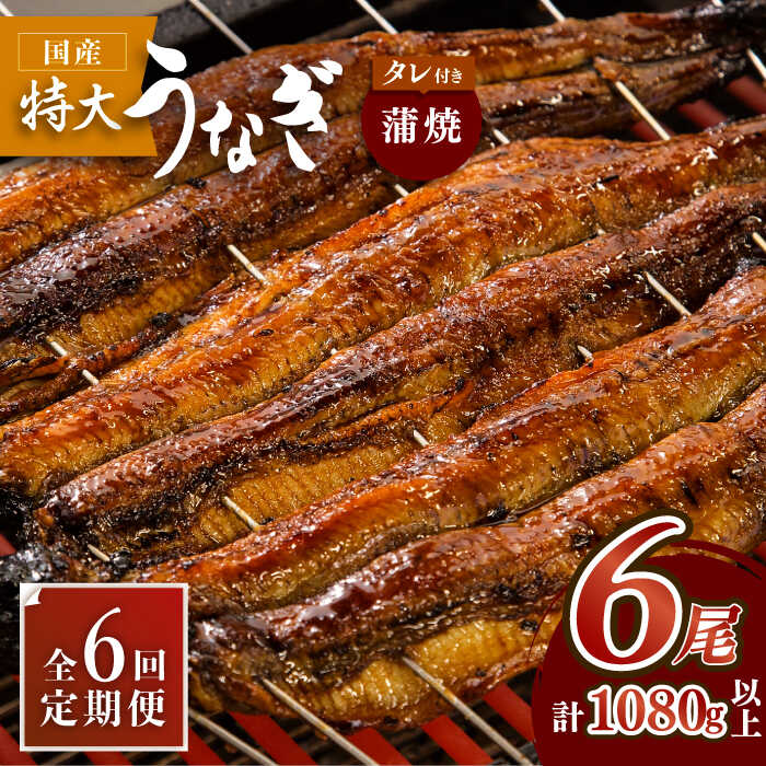 【ふるさと納税】ふっくらジューシーのこだわりうなぎ【6回定期便】国産うなぎ蒲焼 6枚セット&times;6回 吉野ヶ里町/丸安[FAD015]｜佐賀県吉野ヶ里町