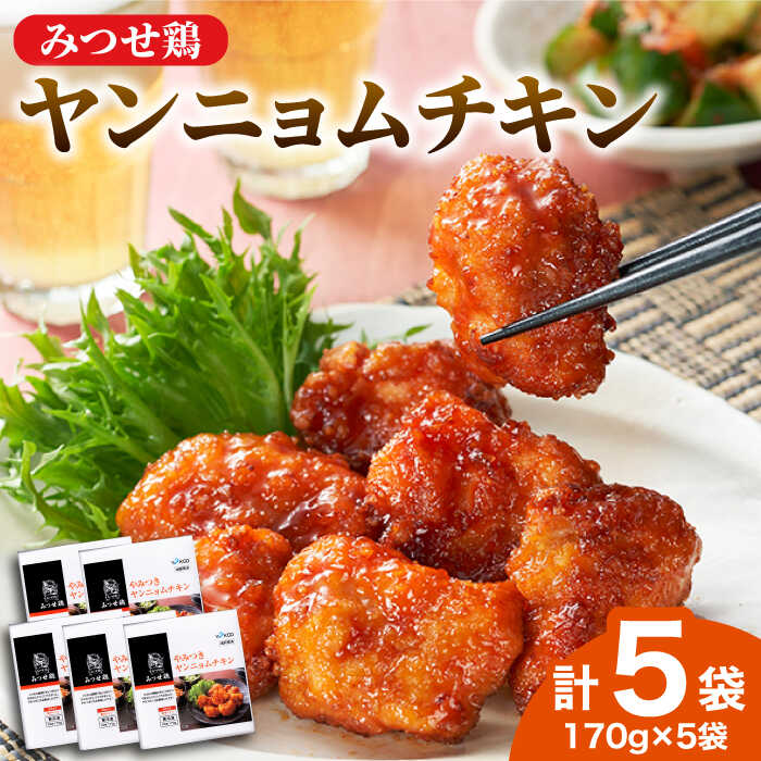 【ふるさと納税】＜宅呑みに是非！＞みつせ鶏ヤンニョムチキン170g×5袋 ヨコオフーズ/吉野ヶ里町 とりにく 鳥 鳥肉 鶏肉 鶏肉 国産 使いやすい  お手軽 簡単 レトルト 便利 小分け 冷凍 料理  おかず セット 惣菜 和食[FAE123]