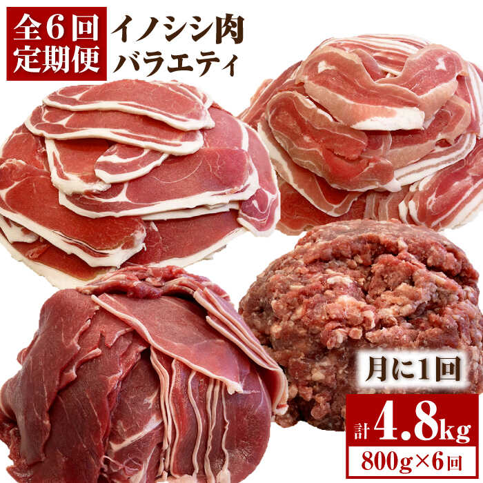 63%OFF!】 FAL057 ≪脊振ジビエ≫イノシシ肉バラエティ6回定期便 総量4.8kg 精肉・肉加工品