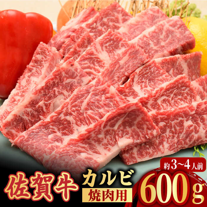 ふるさと納税 吉野ヶ里町 A5 A4 佐賀牛サイコロ・ステーキセット500g(吉野ヶ里町)