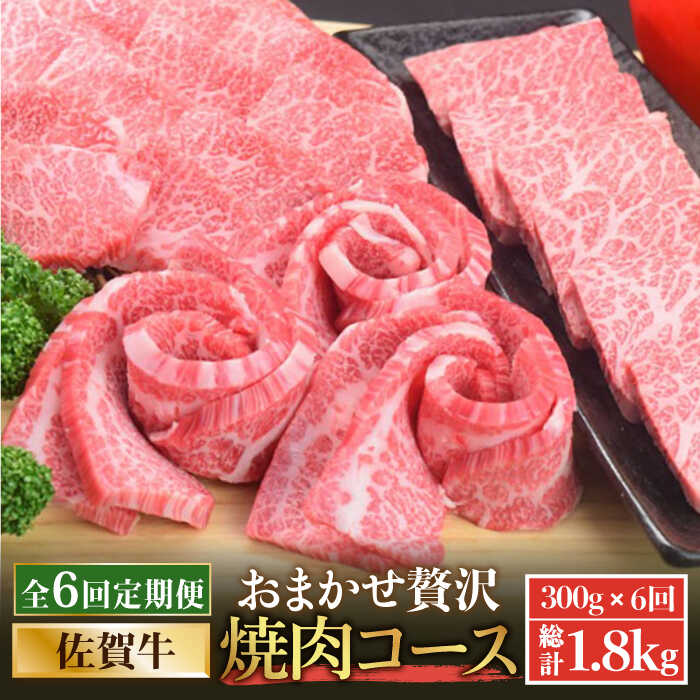 【ふるさと納税】＜6回定期便＞佐賀牛希少部位含む～ひとり贅沢焼肉コース～ ランプ/クリ/トウガラシ/ザブトン/カイノミなど【ミートフーズ華松】 ブランド 高級 和牛 霜降り BBQ やわらか 冷凍 料理 精肉 牛肉 希少 赤身 [FAY072]