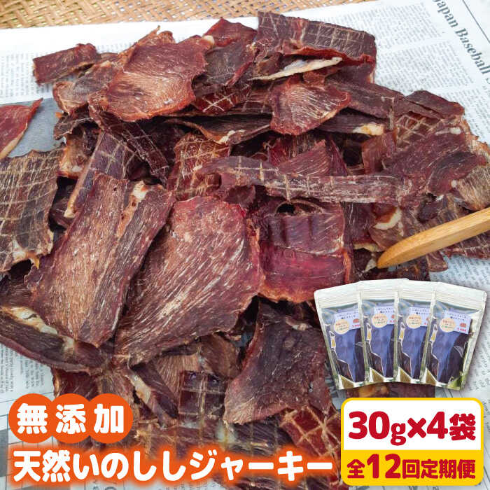 文芸批評を書いて【さがびより 2合】をもらおう！2026年 文芸批評社会的運動