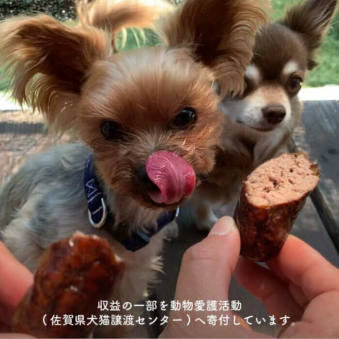 ふるさと納税 犬の無添加おかず 燻製の香りがたまらないスモークチキン いのししソーセージ わんこin食堂 Fcg040 Comercialpuentealto Cl